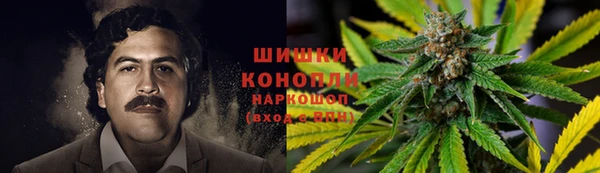 стафф Белокуриха