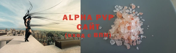 стафф Белокуриха