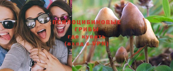 стафф Белокуриха